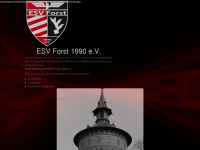 esv-forst-1990.de Webseite Vorschau