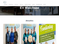 ev-walchsee.at Webseite Vorschau