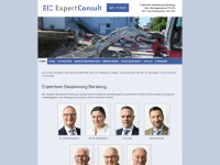 expertconsult.ch