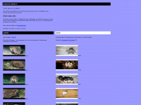 wildlife.ch Webseite Vorschau