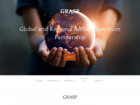 grasp.org Webseite Vorschau