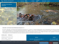 salmonidenschutz.de Webseite Vorschau