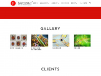 micronaut.ch Webseite Vorschau