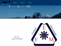 f-e-m.de Webseite Vorschau