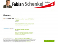 fabian-schenkel.ch Thumbnail