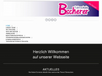 fahrschule-bscherer.de Webseite Vorschau