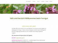 farngut.ch Webseite Vorschau