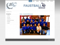 Faustballbaeretswil.ch
