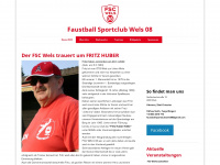 faustball-wels.at Webseite Vorschau