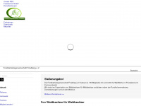 fbg-friedberg.de Webseite Vorschau