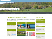 feldbrunnen.ch Webseite Vorschau