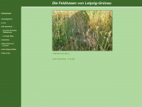 feldhasen-gruenau.de Webseite Vorschau