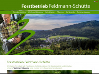 Feldmann-schuette.de