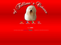fellino.ch Webseite Vorschau
