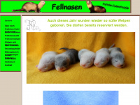 fellnasen-frettchen.de Webseite Vorschau
