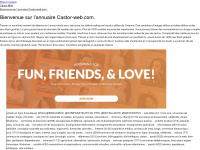 castor-web.com Webseite Vorschau
