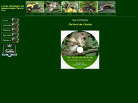 feuersalamander-dvd.de Thumbnail