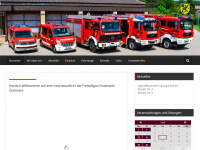 Feuerwehr-oetisheim.de