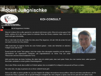 koi-consult.de Webseite Vorschau