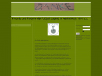 fffj-kr-huels.de Webseite Vorschau