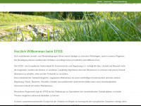 efeb.org Webseite Vorschau