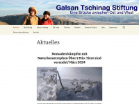 galsan.info Webseite Vorschau