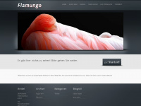 flamungo.de Webseite Vorschau