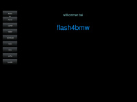 flash4bmw.de