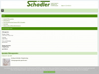 schaedler-mulden.ch Webseite Vorschau