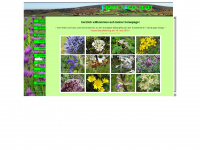 flowerscout.at Webseite Vorschau