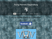 flying-hornets-regensburg.de Webseite Vorschau