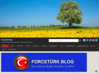 forceturk.de Webseite Vorschau