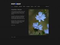 fotoray.ch Webseite Vorschau