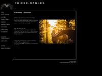 friesehannes.ch Thumbnail