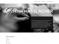 friseur-hasslacher.at Webseite Vorschau