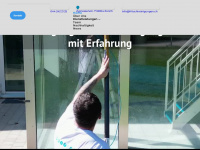 fritschireinigungen.ch Webseite Vorschau