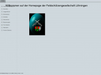 fsg-loehningen.ch Webseite Vorschau