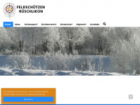 fsvr.ch Webseite Vorschau
