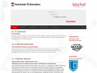 ftsd.at Webseite Vorschau