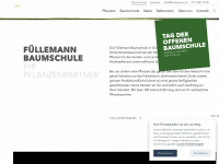 fuellemann.ch Webseite Vorschau