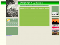 muldenstein.de Webseite Vorschau