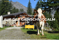 gainschniggalm.at Webseite Vorschau