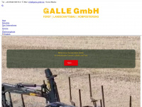 galle-gmbh.de Webseite Vorschau