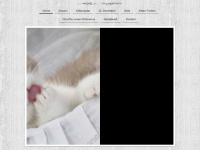purring-passions-cattery.de
