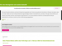 gruenereinach.ch Webseite Vorschau
