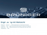 brueniger.com Webseite Vorschau