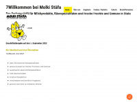 molki-staefa.ch Webseite Vorschau