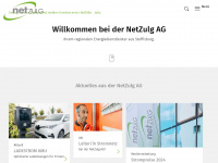 netzulg.ch Webseite Vorschau