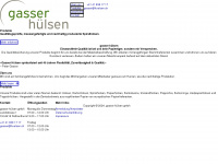 huelsen.ch Webseite Vorschau