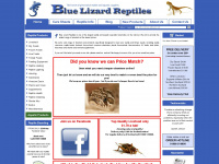bluelizardreptiles.co.uk Webseite Vorschau
